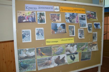 Захист проектів