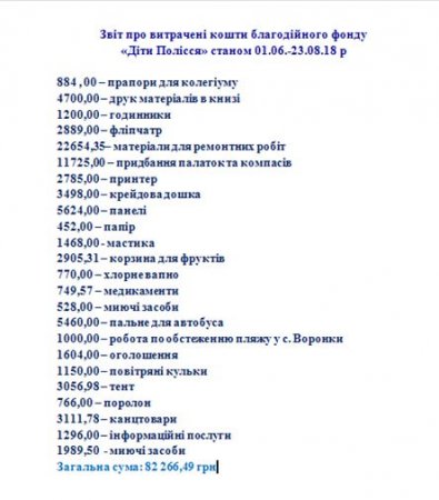 Звіт благодійного фонду "Діти полісся" за 01.06.2018-27.08.2018р