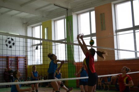 Декада відкритих дверей