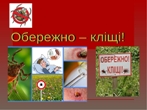 Як вберегтися від кліщів і не підчепити інфекцію: важливі поради.