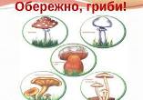 Обережно, отруйні гриби!
