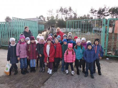 #HelsthySchools Екскурсія до кінної спортивної бази