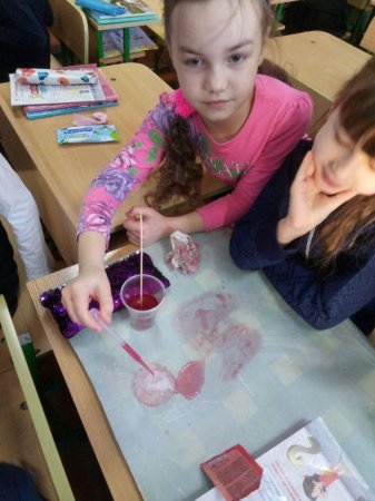 STEM-зима "Дослідження впливу соляного розчину на лід"