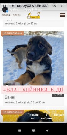 Всеукраїнський конкурс «Благодійники в дії»