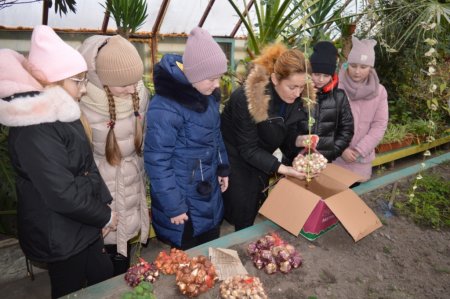 Реалізація проєкту “Flowers4school”
