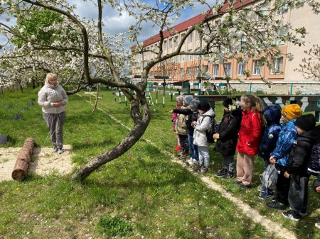 Година спілкування «Мінна безпека»